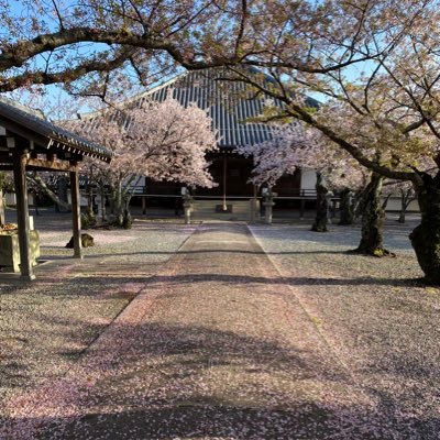 日本酒大好きオヤジ