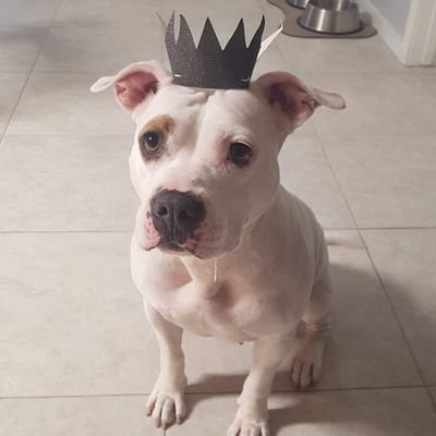 nopenope713's profile picture. Realist.