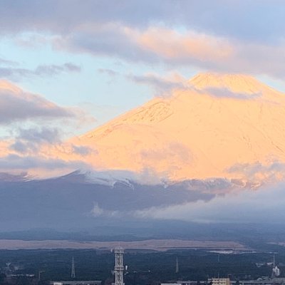 lambland_island's profile picture. 