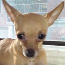 Joyce Carbonell - @JoyceCarbonell5 - Twitter