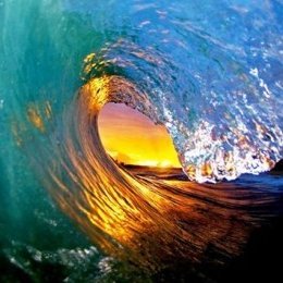 meta4ia's profile picture. Priority: Creative Technology for Healthy Ecology

#ClimateAction
#NetNeutrality
#StopFundingFossils
#PoweredByPeople