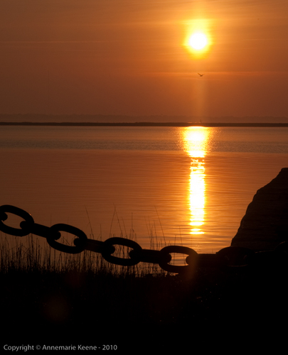 annemariekeene's profile picture.