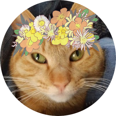 タコ姉 リュウソウ録画見た バンバ兄さん久しぶりにぶっ飛ばしてて面白いw顔芸w花束でトワをしばいてるところ声出して笑っちゃった バンバも恋多き男なのね アピールがまともで良いと思う アスナのアクションかっっっこ良かった 行け ケーキの恨み