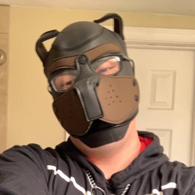 Gay Pup (PupAmbi(Ambix), Original Character Cosplayer, Sigil Social Network and Tiktok content creator