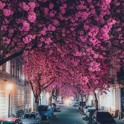 debbynyachoti25's profile picture. Aimer😌