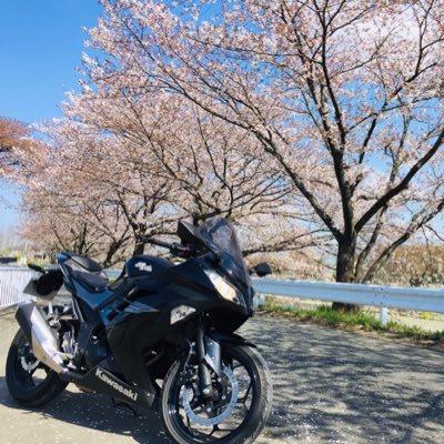 halt_p's profile picture. '18/6にふと思い立って二輪の免許を取り、NINJA250('17式)を買いました。あちこちツーリングしたり美味しいもの食べたり、1人ふらふらと楽しんでいます。