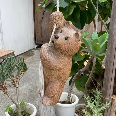 emi372's profile picture. P