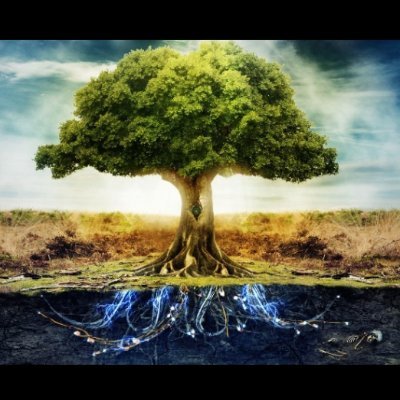 investophia's profile picture. 