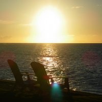 Alex Bergo (@alexbergo) 's Twitter Profile