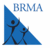 BRMentors's profile image