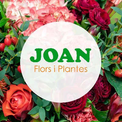 Floristeria online. Realitzem enviaments de flors i plantes a domicili. Repartim al Maresme i Barcelonès. Contacta'ns per web, email o telèfon.