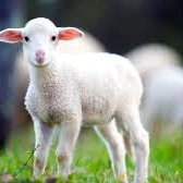 city_vijay's profile picture. I love my life