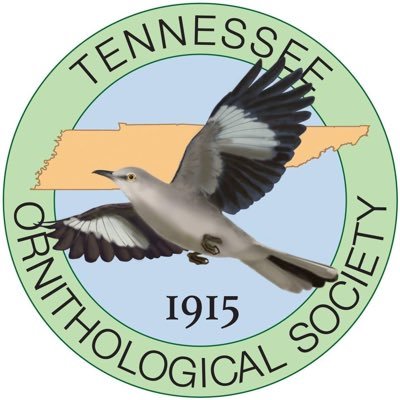 The Chattanooga Chapter of the Tennessee Ornithological Society 
Nonprofit organization devoted to the study & enjoyment of birds in SE TN & North GA
#teambird