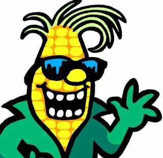 Maize Quest Fun Park & Corn Maze at Maple Lawn Farms is the largest collection of people-sized mazes in the world.