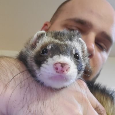 Game designer, programmer, comic enthusiast and ferret dad. Currently making the @bossbattlegame