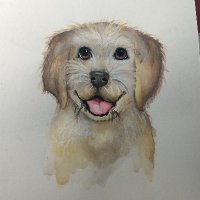Gina Giordano (@msgfrommc) 's Twitter Profile