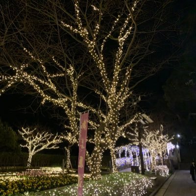 n_y_miko's profile picture. 