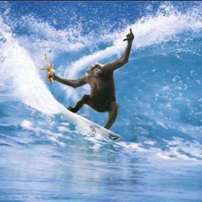 PatHellman1's profile picture. here for the comments