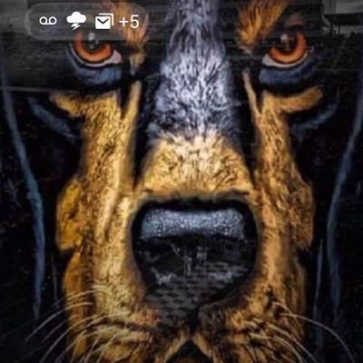 seviervolfan's profile picture. Vol Fan, God Fan, 2 Kids,  marketing, anti-liberal