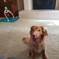 D (@thedack1818) 's Twitter Profile