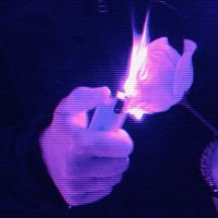 Viradoo (@viradoo1) 's Twitter Profile