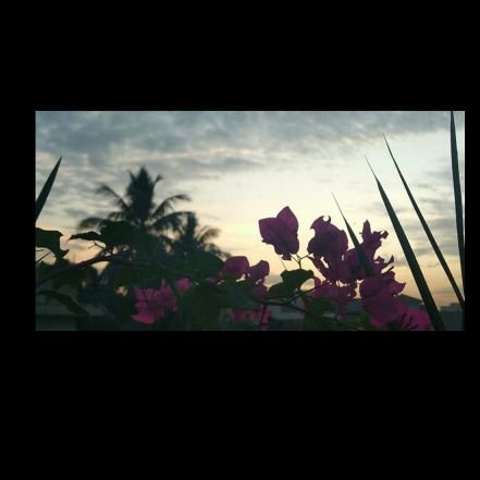 NehaAnwar5's profile picture. Hi insan umuyoruz iyi 🇹🇷♥
 





#الله واحد 👆