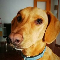 Andreu🔻 (@andreuhg2) 's Twitter Profile