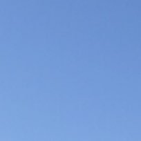 dfbvdh's profile picture. 