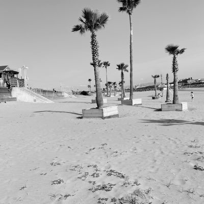 yuinadayo___'s profile picture. SUB ひとりごとほぼ