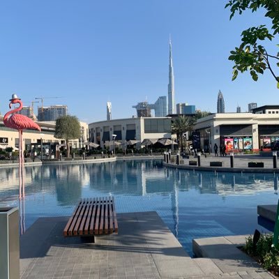 MajdTh's profile picture. #IT Student  👩🏻‍💻 in Imam University