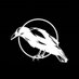 Marco F. Rufo (@marcofrufo) Twitter profile photo Marco F. Rufo (@marcofrufo) Twitter profile photo