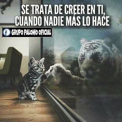 David69802279's profile picture. 