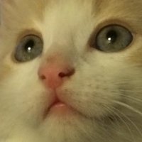 Probl33m (@probl33m) 's Twitter Profile