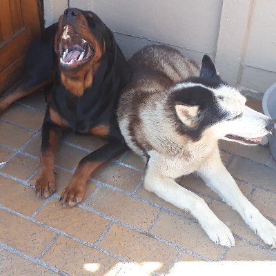 Daniel61800872's profile picture. ♥️Courtney 13/05/2017