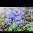 Manolo Velasco - @velgonma - Twitter