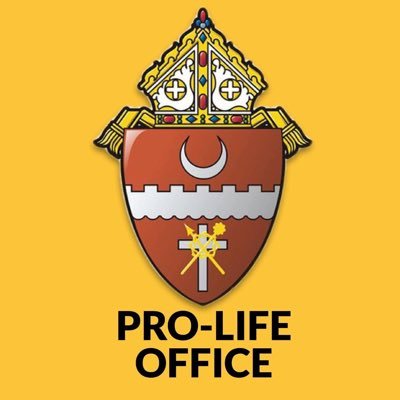 The Catholic Diocese of Brownsville’s Pro-Life Office is dedicated to promoting a Culture of Life, recognizing and protecting the dignity of human life.