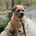 Gadget (@gadget_the_bt) Twitter profile photo Gadget (@gadget_the_bt) Twitter profile photo