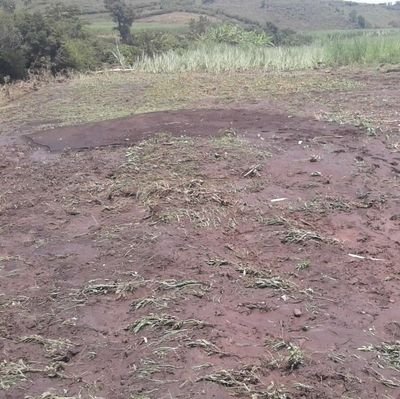 AgextensionA's profile picture. Agricultural Extension Agency is a service agent that links smallholder farmers to technical advice & opportunities in crop value chains in East Africa.