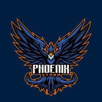 Phoenix Storm E-Sports (@phoenixstormes) 's Twitter Profile