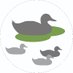 OnBotanyPond (@onbotanypond) Twitter profile photo OnBotanyPond (@onbotanypond) Twitter profile photo