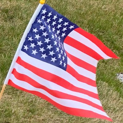 Liberty007's profile picture. American Patriot