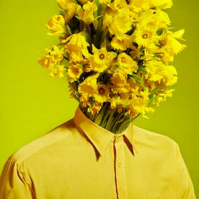 rateatsbananas's profile picture. erotic fantasy is to be beaten to death