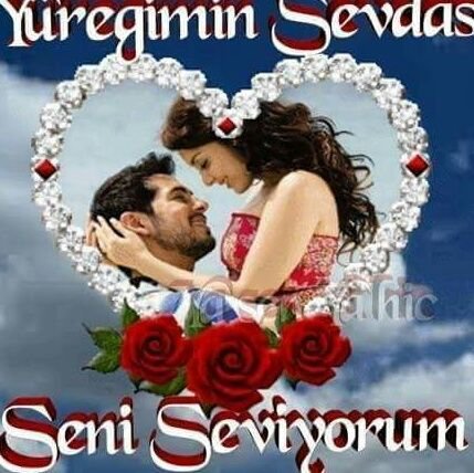 HasanLim79's profile picture. 