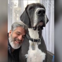 Vuk Stambolic (@lupociyucy) 's Twitter Profile Photo Vuk Stambolic (@lupociyucy) 's Twitter Profile Photo