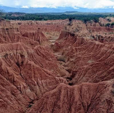 JorgeVe04839184's profile picture. Un día sin reír es un día perdido!