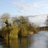 RingwoodTown's profile image