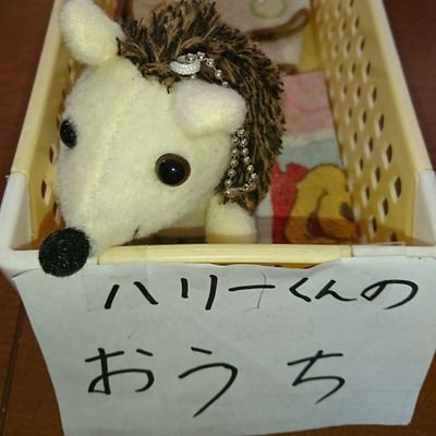 harinezumi_fs's profile picture. ﾏﾏﾀﾐ🐟/きょんくま(将軍、アニキ推し)/QuizKnock🧑‍🎓/こうちゃんフォロバありがとうございます✨/2人の娘の母/手芸とパズルが好き♡/🐟️🚢'19.1.5~6福岡乗船完了⚓/🐟💛'19.1.12初リプ💞'19.2.28、20.6.30🔃