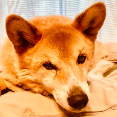 はるきさんのプロフィール画像