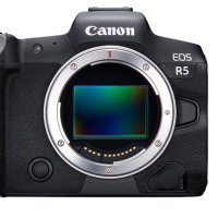 Canon R5 User Group (@r5user) 's Twitter Profile