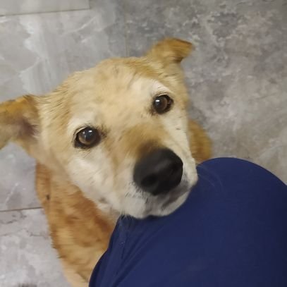 GracielaSurez16's profile picture. 